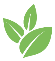 Pruning Services