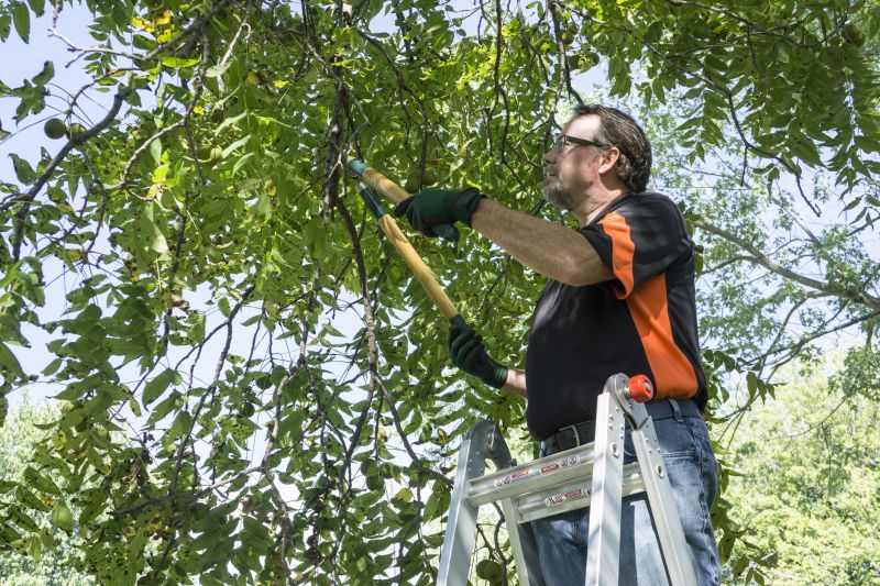 Structural Pruning