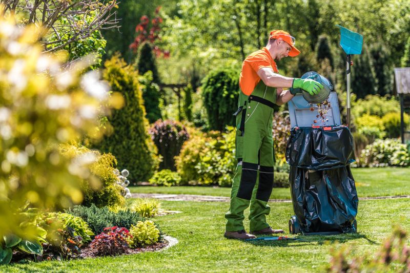 Healthy Lawn Maintenance