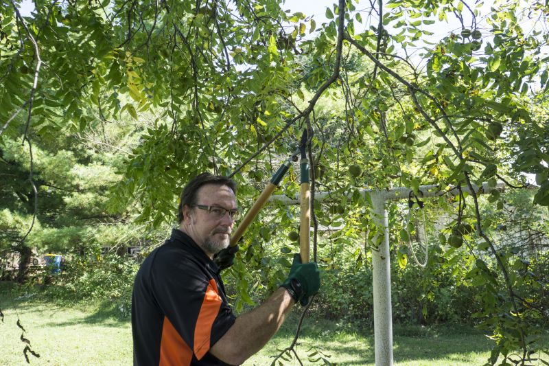 Products For Pruning Service in use