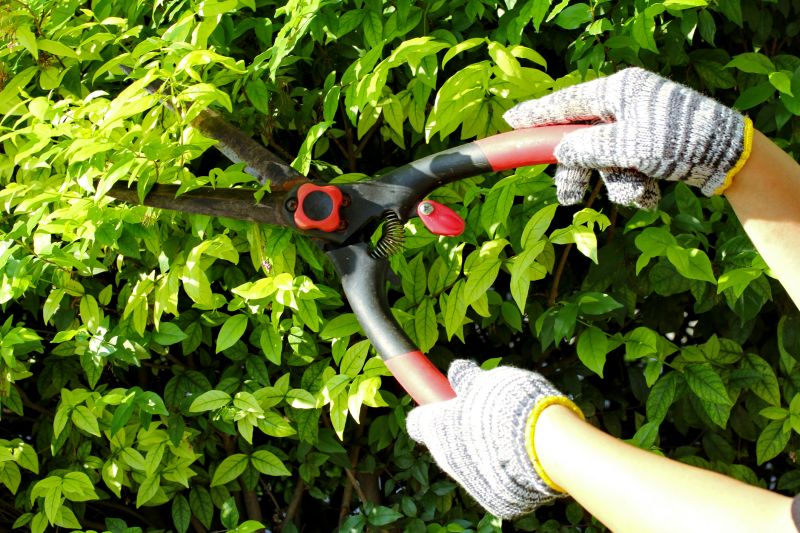 Pruning Tools