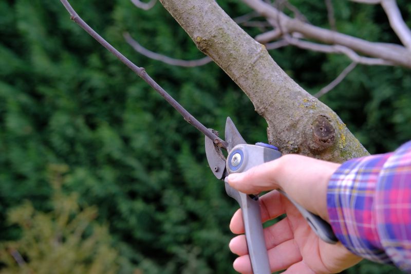 Pruning Services