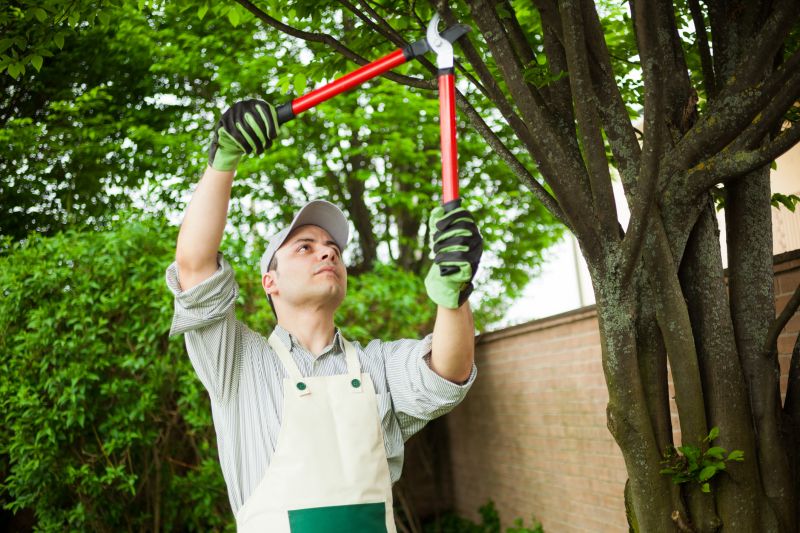 Pruning Services