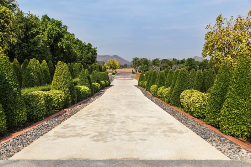 Shrubs and Garden Path